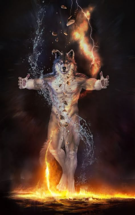 Alpha Werewolf, The 4 Elements, Alpha Wolf, 4 Elements, Goofy Pictures, Silly Images, The Alpha, Very Funny Pictures, Mary Kate