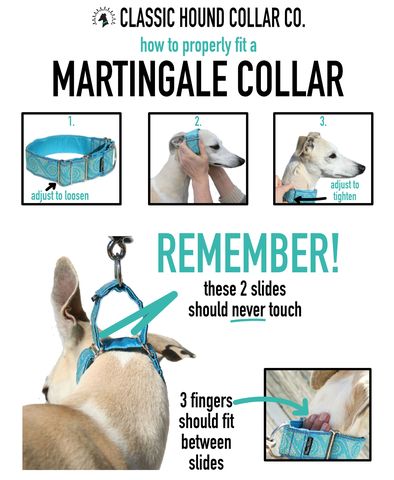 Martingale 101 - Learn more about Martingale Dog Collars by Classic Hound Collar Co. How To Make A Martingale Dog Collar, Martingale Dog Collar Diy, Paracord Martingale Dog Collar Diy, Dog Collar Diy Tutorials, Dog Collar Pattern, Purple Dog Collar, Velvet Dog Collar, Hound Breeds, Leather Dog Collar Custom