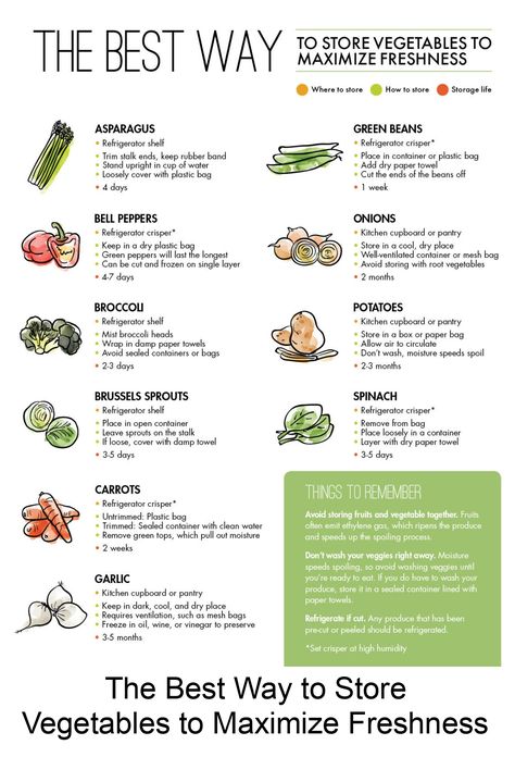 To help you maximize the life of your produce, we put together the best way to store vegetables (and a printable to keep on your fridge, too). Storing Veggies In Pantry, Store Veggies, Store Vegetables, Food Shelf Life, Food Shelf, Produce Storage, Storing Fruit, Storing Vegetables, Fruit And Vegetable Storage