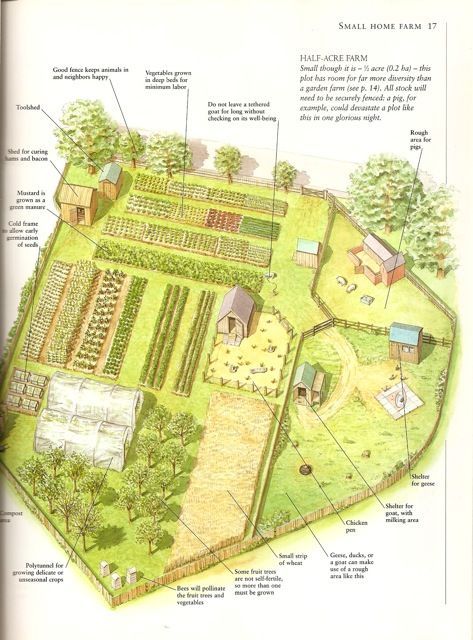 A Half-Acre Farm- a page from my favorite book, Country Life: A Handbook for Realists and Dreamers by Paul Heiney Homestead Layout, Farm Plans, Homestead Farm, Farm Layout, Future Farms, Mini Farm, Urban Homesteading, Living Off The Land, Have Inspiration