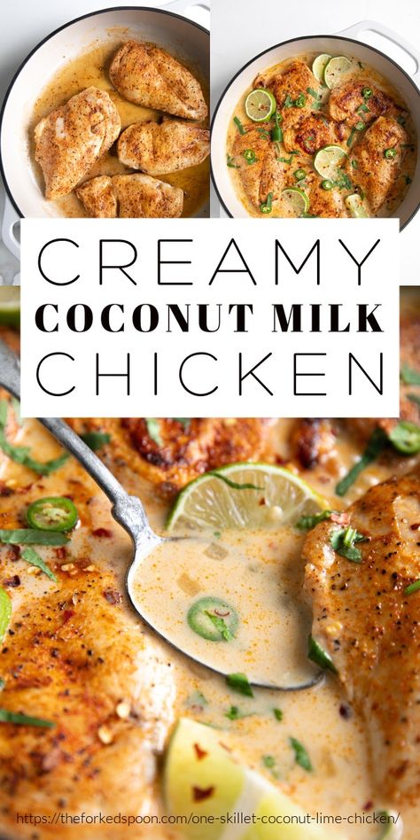 Low Carb Dairy Free Chicken Recipes For Dinner, Low Carb Dairy Free Recipes Dinners, Dairy And Carb Free Recipes, Dinner Ideas With Coconut Milk, Low Carb Coconut Milk Recipes, Healthy Dinner Recipes Low Carb Dairy Free, Carb Free Dairy Free Recipes, Chicken Recipe With Coconut Milk, Chicken And Coconut Cream Recipes