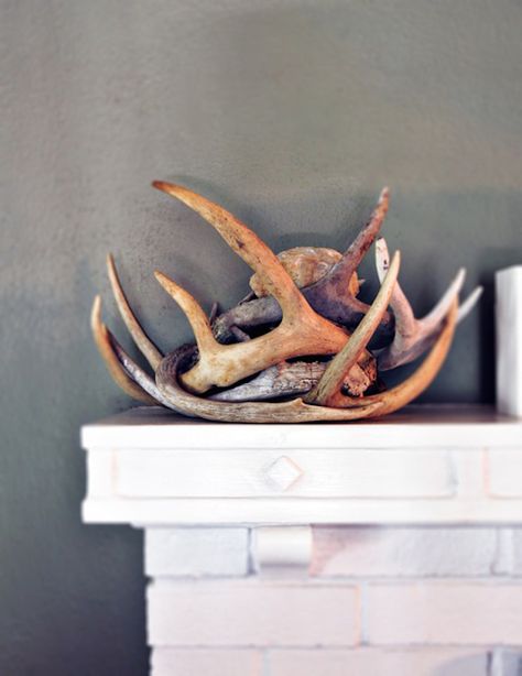 Antler decor on fireplace mantel Antler Display Ideas, Deer Antler Wall Decor, Feathers Decor, Decorating With Antlers, Antler Display, Fireplace Corner, Savannah Style, Hirsch Silhouette, Painted Antlers