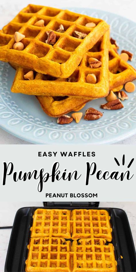 Pumpkin Pecan Waffles Breakfast Ideas For Adults, Easy Breakfast Ideas For Kids, Side Dishes For Thanksgiving, Pumpkin Pecan Waffles, Dishes For Thanksgiving, Best Frozen Meals, Pecan Waffles, Kids Brunch, Peanut Gallery