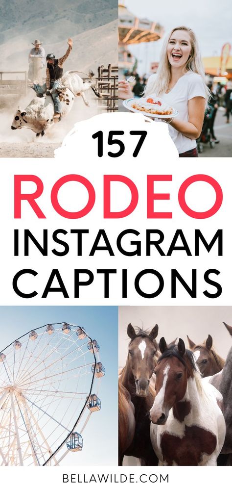 Western Selfie Captions, Rodeo Quotes Funny, Rodeo Sayings And Quotes, Cow Instagram Captions, Short Cowgirl Quotes, Rodeo Queen Quotes, Stagecoach Captions, Cowgirl Insta Captions, Rodeo Quotes Instagram