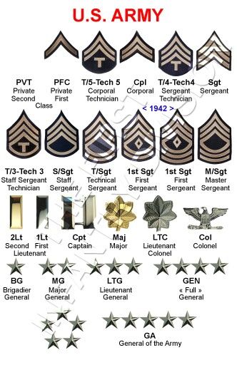 Army Basic Training, Marine Corps Ranks, Army Medals, American Military History, Army Ranks, Military Tactics, Military Ranks, Army Patches, Military Patches