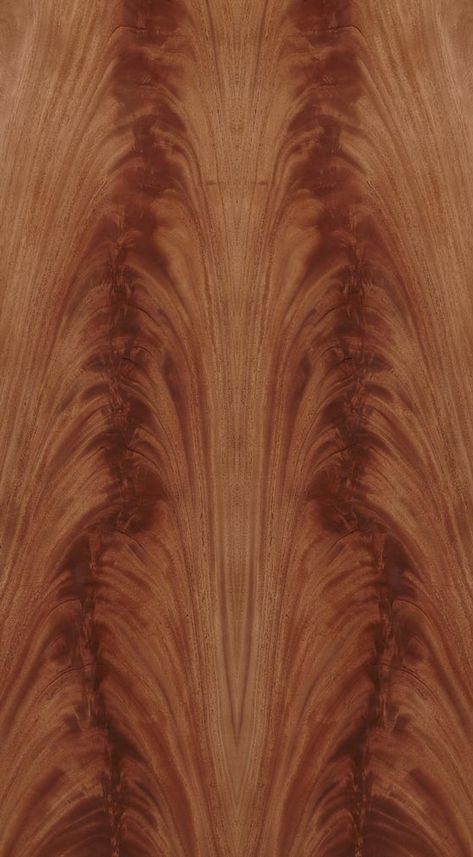 Polished Wood Texture, Wardrobe Diy Ideas, Mahogany Wood Texture, Wood For Cabinets, Oak Wood Texture, Bar Lounge Design, Wardrobe Diy, Veneer Texture, Wood Samples