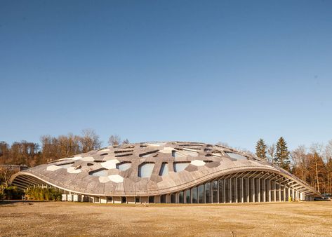 Zoo Exhibit, Elephant Habitat, Animal Architecture, Elephant House, Planet Zoo Inspiration, Zoo Inspiration, Zoo Design, Elephant Park, Zoo Architecture