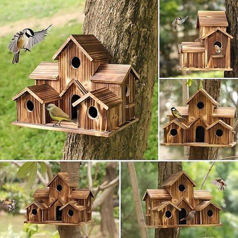 Bird house feeder