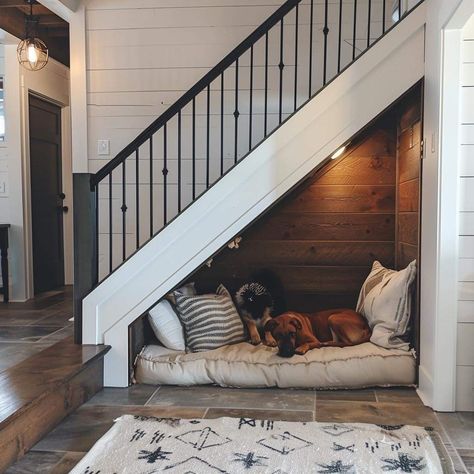 Dog Corner Under Stairs, Home With Dog Aesthetic, Under Stairs Ideas Dog Spaces, Large Dog Areas In House, Upstairs Remodel Ideas, Tub Under Stairs, Dog Friendly House Design, Dog Additions To House, Small Dog Bedroom