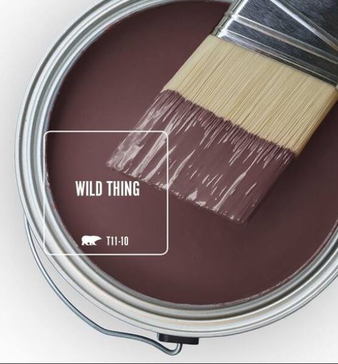 Mulberry Paint Color, Behr Paint Color Schemes, Concrete Lighting, Behr Paint Colors, House Color Palettes, Behr Paint, Paint Color Schemes, Bathroom Decorating Ideas, Room Paint Colors