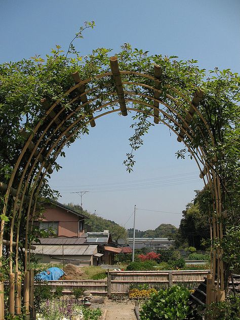 Bamboo trellis Bamboo Pathway, Bamboo Arbor, Bamboo Arch, Garden Archway, Bamboo Diy, Garden Arch Trellis, Flower Trellis, Arch Trellis, Bamboo Trellis