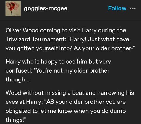 Harry Potter Prompts, Harry Potter Next Gen Headcanons, Funny Harry Potter Headcannons, Incorrect Harry Potter Quotes, Harry Potter Modern Au, Slytherin Harry Potter Au, Harry Potter Fic Recs, Harry Potter Tumblr Funny, Harry Potter Fanart Harry Fan Art