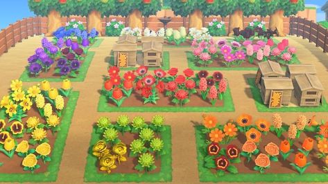 One Of Every Flower Garden Acnh, Hybrid Flower Garden Acnh, Acnh Villager Garden Ideas, Flower Ideas Acnh, Acnh Community Ideas, Community Garden Animal Crossing, Acnh Garden Ideas Flowers, Acnh Hybrid Garden, Community Garden Acnh