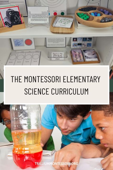 Maria Montessori’s innovative approach to teaching Elementary Science emphasizes hands-on learning and self-directed exploration. Lower Elementary Montessori, Montessori Chemistry, Montessori Science Shelf, Montessori Science Activities, Montessori Elementary Classroom, Montessori Approach, Allergy Diet, Montessori Curriculum, Montessori Science