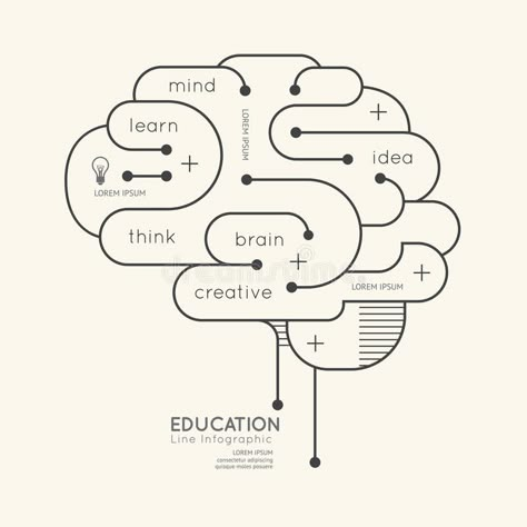 Infographic Education, Brain Graphic, Brain Vector, Brain Illustration, Brain Logo, Educational Infographic, Infographic Illustration, Word Cloud, Information Design