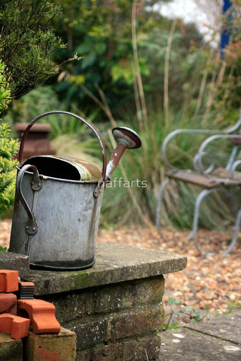 Winter Garden Bench Garden, God's Blessings, Gravel Path, Garden Watering, Watering Cans, Garden Fountains, Garden Sheds, Potting Shed, Country Garden