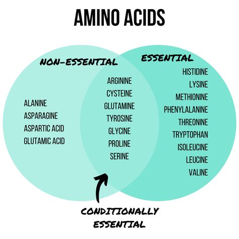 Amino Acids - Essential vs Non-Essential | Amino acids are the building blocks of protein, but why is protein so important anyway? This article covers benefits of protein, how much you need, and sources #chelseadishes #protein101 #aminoacids #nutritioninfographic #nutritionfacts Essential And Non Essential Amino Acids, Amino Acids For Muscle, Amino Acids Benefits, Benefits Of Protein, Foods That Contain Protein, Biochemistry Notes, Protein Benefits, Benefits Of Mindfulness, Healthy Supplements