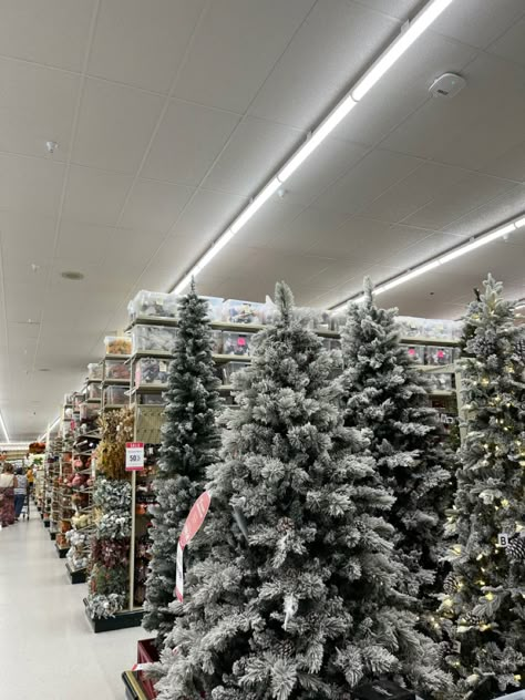 Christmas trees in stores Christmas Bts, Aesthetic Pov, Merry Christmas Charlie Brown, Christmas Tree Shopping, Store Photoshoot, Manifest Vision Board, Christmas Charlie Brown, Christmas Tree Store, Christmas Mood Board