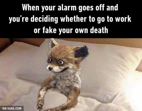 When your alarm goes off and you're deciding whether to go to work or fake your… Cant Sleep Meme, Yoga Puns, Yoga Meme, Sleep Meme, Yoga Humor, Yoga Quotes Funny, Gym Memes Funny, Cant Sleep At Night, When You Cant Sleep