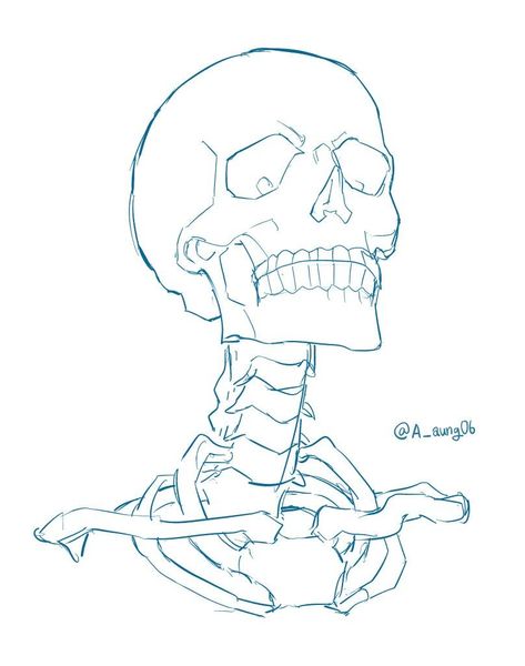 Skeleton Drawing, Skeleton Drawings, Skeleton Art, A Skeleton, Skull Drawing, Arte Sketchbook, Anatomy Art, Book Art Drawings, Art Tutorials Drawing