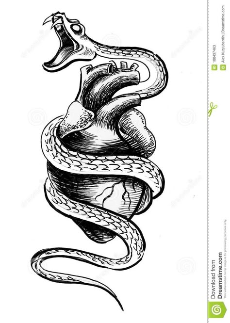 Snake Drawing Mouth Open, Snake With Open Mouth Drawing, Snake Protecting Heart Tattoo, Snake With Fangs Tattoo, Snake And Heart Drawing, Snake Heart Tattoo Design, Open Mouth Snake Tattoo, Snake Mouth Tattoo, Two Headed Snake Drawing