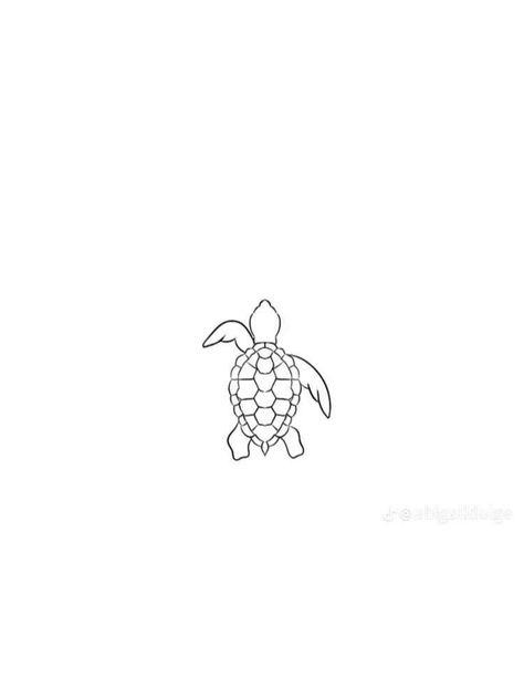 Basic Turtle Tattoo, Sea Life Tattoos Simple, Sea Turtle Tattoo Stencil, Small Turtle Drawing, Dainty Sea Turtle Tattoo, Small Tattoos Turtle, Turtle Small Tattoo, Turtle Tattoo Fine Line, Small Turtle Tattoos For Women