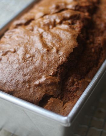 Whole Grain Einkorn Pumpkin Bread | Jovial Recipes Ancient Wheat, Einkorn Bread, Einkorn Recipes, School Meal, Recipe Bread, Einkorn Flour, Coconut Dessert, Chocolate Zucchini Bread, Chocolate Banana Muffins