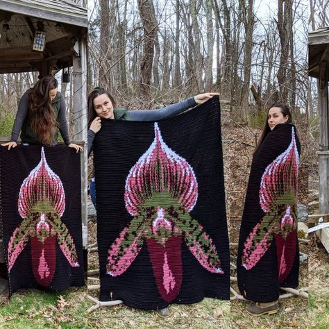 Finished this custom orchid pattern this week  #orchid #paphiopedilum #venusslipper #paphiopedilumbellatulum #orchidsofinstagram #orchidcrochet #crochet #graphgan #crochetersofinstagram #crochettapestry #orchiddecor #flowertapestry Orchid Crochet, Crochet Graphgan, Orchid Pattern, Crochet Throw Pattern, Medium Weight Yarn, Crochet Tapestry, Crochet Throw, Fun Crochet Projects, Diy Crochet Projects