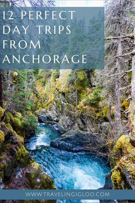 What To Do In Anchorage Alaska, Anchorage Alaska Things To Do In, Anchorage Alaska Summer, Alaska Living, Traveling Usa, Alaska Summer, Alaska National Parks, Alaska Road Trip, North To Alaska