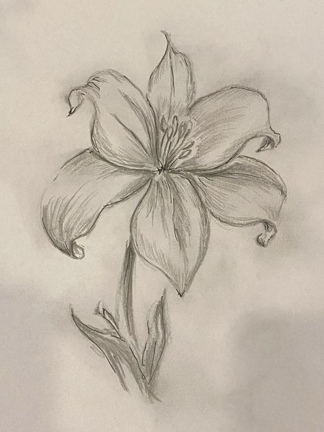 Art Inspiration: Tiger Lily – Chocoviv’s Lifestyle Blog Tiger Lily Drawing, Lilly Drawing, Tigers In The Wild, Lilies Drawing, Drawing Flowers, Flower Art Drawing, Animation Art Sketches, Flower Sketches, Pretty Drawings