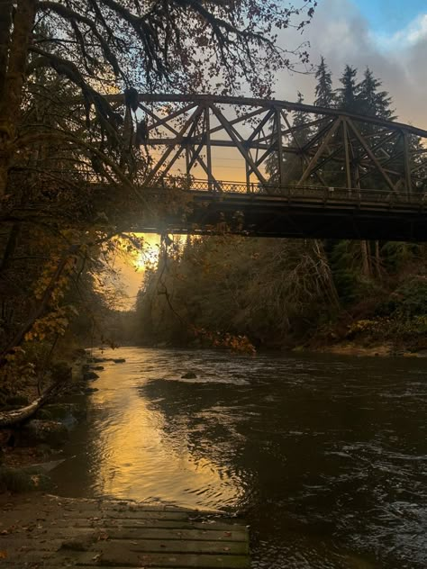 #twilight #goldenhour #fall #autumn #washington #forks Washington Forks, Twilight Season, Forks Washington Twilight, Twilight Autumn, Midwest Gothic, Twilight Oc, Twilight Vibes, Oregon Hikes, Forks Washington