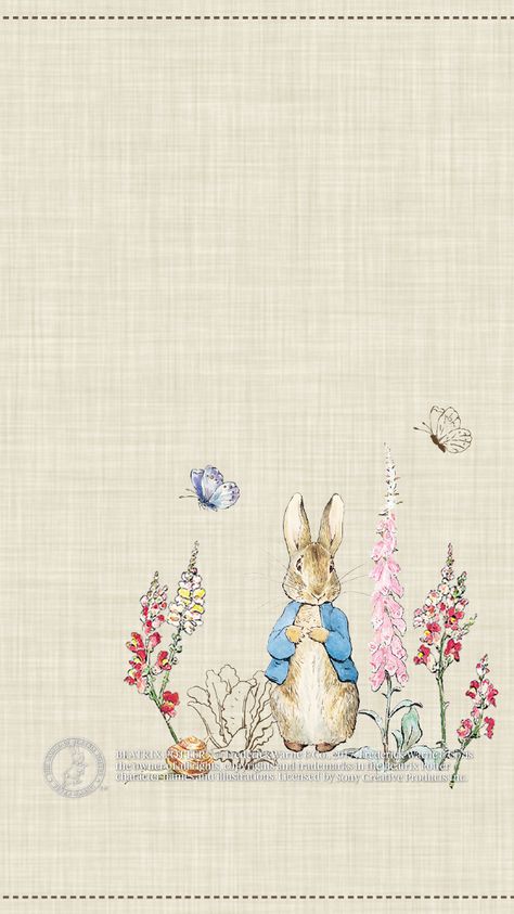 Peter Rabbit Tattoos, Peter Rabbit Wallpaper, Peter Rabbit Pictures, Peter Rabbit Illustration, Rabbit Birthday Party, Peter Rabbit Theme, Beatrix Potter Illustrations, Beatrice Potter, Peter Rabbit Birthday