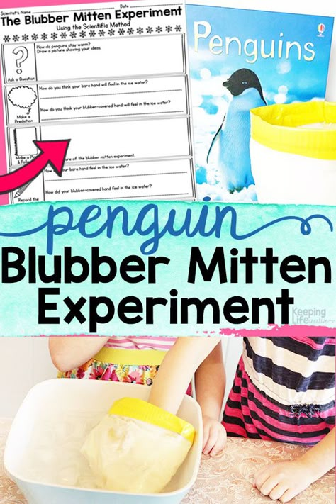 Penguin Experiment, 2nd Grade Science Projects, Penguins Kindergarten, Mr Poppers Penguins, Penguin Crafts Preschool, Science Penguin, Antarctic Animals, Penguin Activities, Cold Places