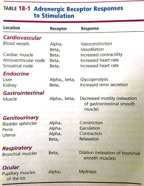 Adrenergic Receptor Responses to Stimulation Vasoactive Medications, Adrenergic Pharmacology, Beta Receptors, Pharmacology Studying, Nerdy Nurse, Adrenergic Receptors, Paramedic School, Nursing Information, Nursing School Essential