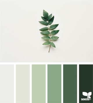 Nature Tones | design seeds | Bloglovin’ Green Color Palette, Design Seeds, Green And White, Color Scheme, Green Color, Color Palette, Seeds, Shades, Green