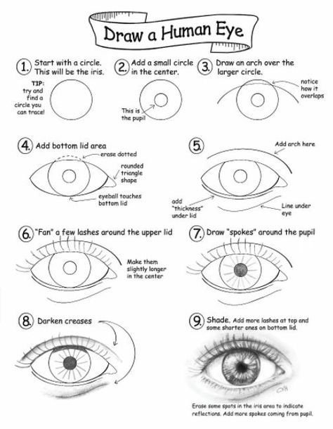 Human Eye Drawing, Draw An Eye, Easy Eye Drawing, Face Art Drawing, Pencil Drawings For Beginners, Pencil Drawing Tutorials, Eye Drawing Tutorials, Drawing Tutorial Face, Eye Sketch