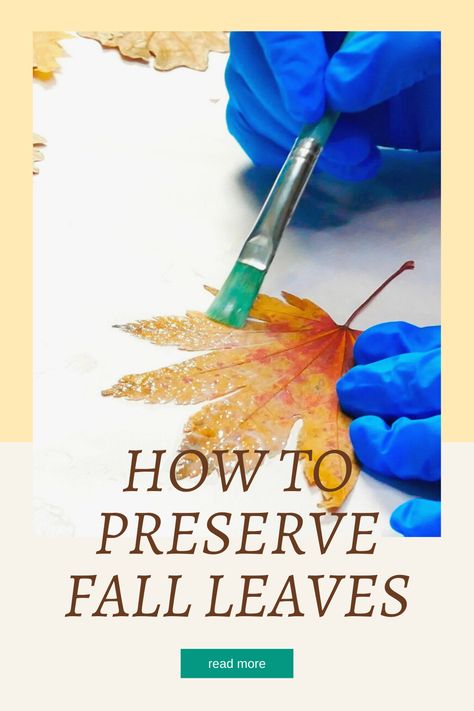 Saving Fall Leaves, How To Save Leaves, How To Preserve Autumn Leaves, Projects With Fall Leaves, Framing Leaves Diy, Preserve Fall Leaves How To, Pressed Fall Leaf Art, Things To Do With Pressed Leaves, Press Leaves Diy