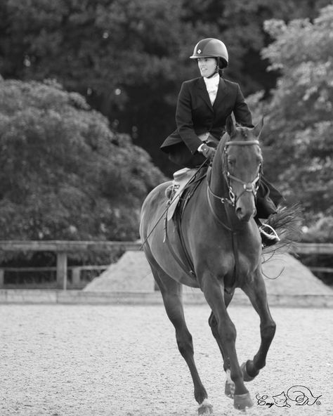 sidesaddle Equestrian Dressage, Breeds Of Horses, Eventing Horses, Side Saddle, American Games, Horse Dressage, Pan American, Dressage Horses, Hunter Jumper