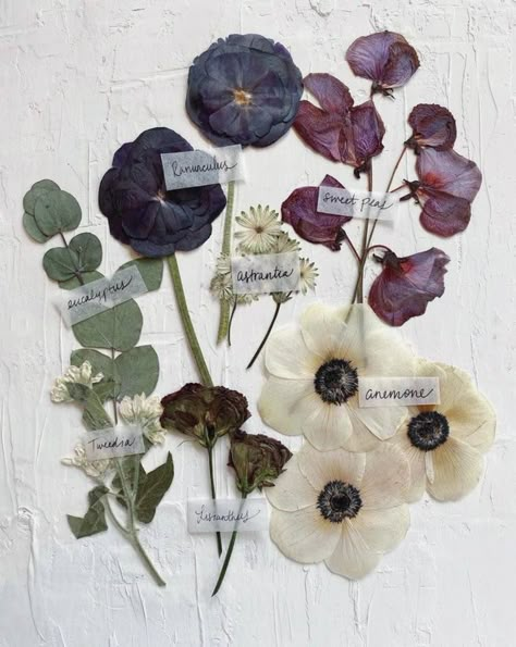 Dried Flowers Pressed, Pressed Flower Aesthetic, Dehydrated Flowers, Framed Florals, Dried Flowers Aesthetic, Flowers In A Frame, Frames Aesthetic, Pressed Florals, Dried Flower Decor