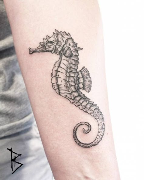 Engraving style seahorse tattoo on the left inner forearm. Zee Tattoo, Seahorse Tattoos, Aquatic Tattoo, Matching Friendship Tattoos, Ocean Sleeve, Seahorse Tattoo, Tattoo Dotwork, Sea Tattoo, Inner Forearm