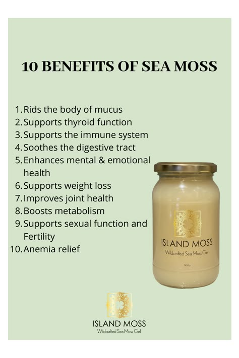 Benefits Of Seamoss, Seamoss Smoothie, Benefits Of Sea Moss, Seamoss Smoothie Recipes, Seamoss Recipes, Sea Moss Benefits, Seamoss Benefits, Sea Moss, Herbal Healing