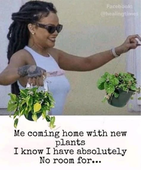 #420memes #420 #420day #rihannamemes #rihanna #manifestit #lol #memes #funny #happy420 Plant Humor, Plant Jokes, Gardening Humor, Plant Mama, Plant Care Houseplant, Crazy Plant Lady, Plant Parent, Love Plants, Lol Memes