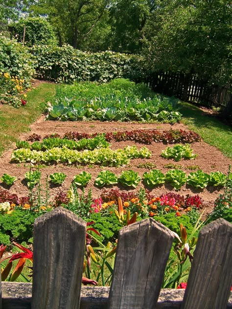 Vegetable Patch Garden, Country Veggie Garden, Farm Veggie Garden, Food And Flower Garden, Fruit Patch Garden, Farm Fruits And Vegetables, Backyard Fruit And Vegetable Garden, Farm In Backyard, Beautiful Veggie Garden