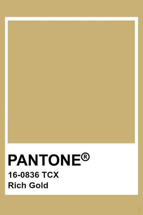 Gold Pantone Color, Pantone Tcx, Yellow Pantone, Pantone Swatches, Pantone Palette, Pantone Colour Palettes, Gold Color Palettes, Gold Palette, Pantone Colors