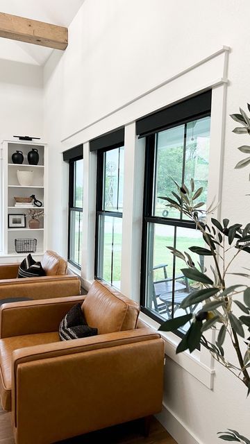 Blinds Only Living Room, Black Shades With White Curtains, Black Windows With Roller Shades, Black Window Window Treatments, Budget Blinds - Official Window Treatments, Black Motorized Blinds, Black Blinds White Walls, Black Window Trim Interior With Blinds, Window Covering Black Windows