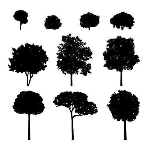 Trees Free Vector Tree Vector Png, Oak Tree Silhouette, Tree Silhouette Tattoo, Paint Png, Silhouette Tree, Pine Tree Silhouette, About Trees, Silhouette Drawing, Vector Art Design