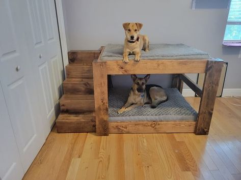 Doggie Bunk Beds Diy, Double Decker Dog Bed Diy, Diy Dog Bed For Multiple Dogs, Dog Bed Raised Diy, Twin Bed For Dog, Crib Turned Into Dog Bed, Dog Beds For Multiple Dogs, Cool Dog Beds For Large Dogs, Bunk Beds For Dogs Diy