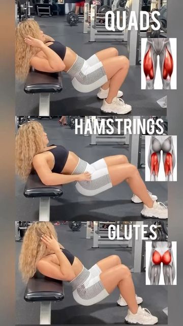 Corp Perfect, Quads And Hamstrings, Buttocks Workout, Leg And Glute Workout, Trening Fitness, Mindset Tips, Full Body Gym Workout, Gym Room, Weight Workout Plan