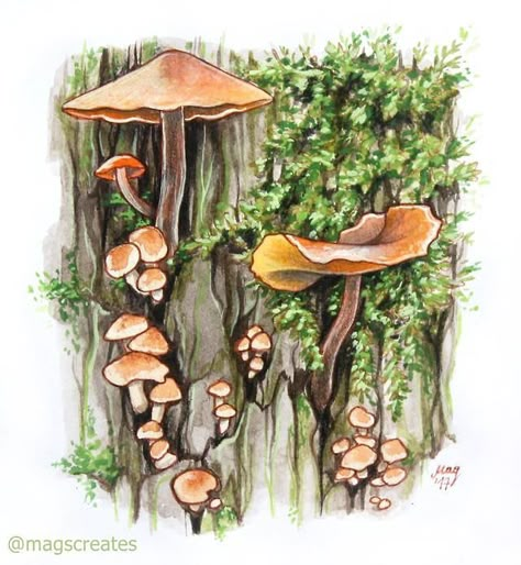 Moss Drawing Tutorial, Gouache Mushroom Painting, How To Draw Moss, Aesthetic Mushroom Art, Watercolor Moss, Moss Drawing, Moss Illustration, Watercolour Mushroom, Moss Painting