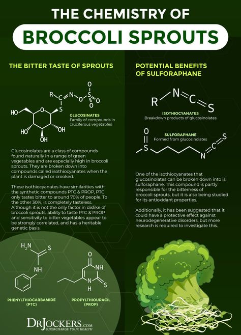 Broccoli Sprouts: Top 6 Health Benefits for Gut & Hormones Benefits Of Sprouts, Brussel Sprouts Health Benefits, Broccoli Sprouts Recipes, Sprout Benefits, Broccoli Sprouts Benefits, Health Benefits Of Broccoli, Sprouts Benefits, Herbs Healing, Microgreens Garden